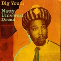 'Natty Universal Dread' Artwork