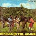 'Reggae In The Grass' Artwork