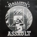 'Ballistic 2nd Assault' Artwork