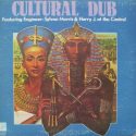 'Cultural Dub' Artwork