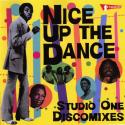 'Nice Up The Dance' Artwork