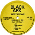 'Black Ark In Dub' Artwork