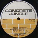 'Concrete Jungle Dub' Artwork