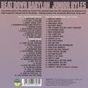 'Beat Down Babylon' Artwork